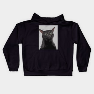 Zoning out cat Kids Hoodie